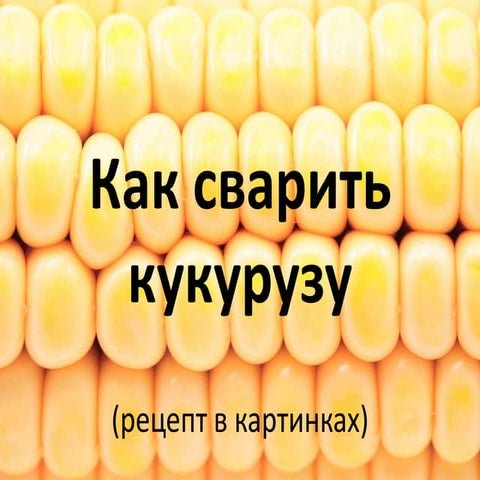 Как сварить кукурузу