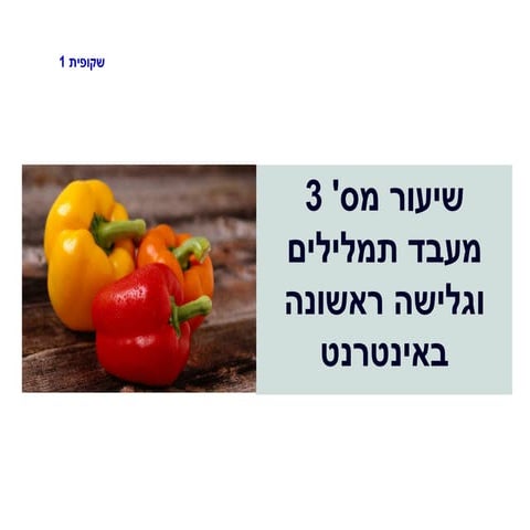 שיעור שלישי   מעבד תמלילים וגלישה ראשונה באינטרנט