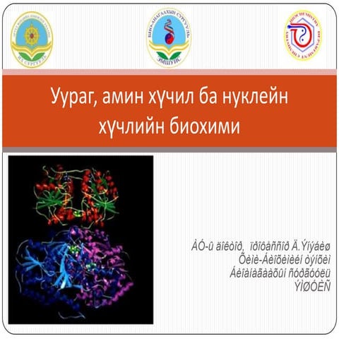 уураг, амин хүчил ба нүклейн хүчлийн биохими | PPT