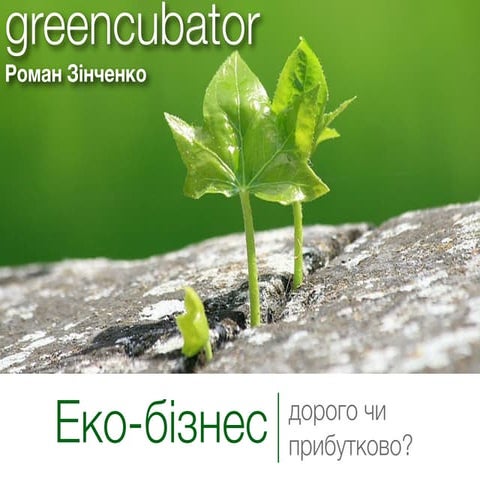 зинченко. эко   дорого или прибыльно