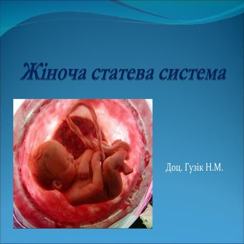 жіноча статева система | PPT