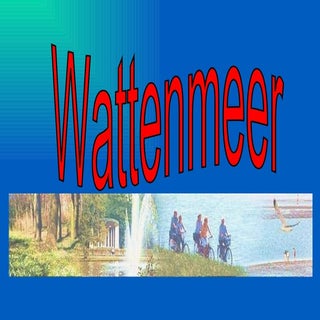Wattenmeer