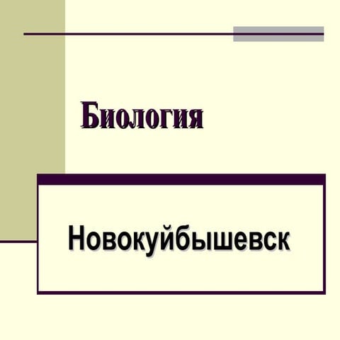 Презентация выступления