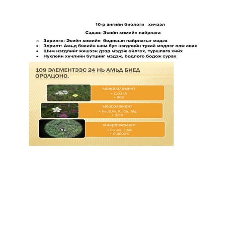 баярмаа | PDF