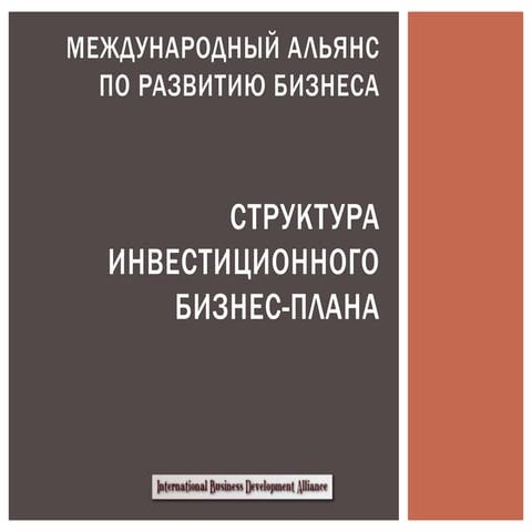 Cтруктура инвестиционного бизнес-плана (международный стандарт)