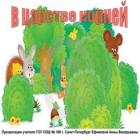 в царстве корней