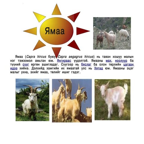 ямаа | PPT