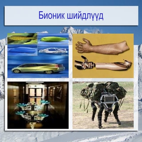 бионик жишээ | PPT