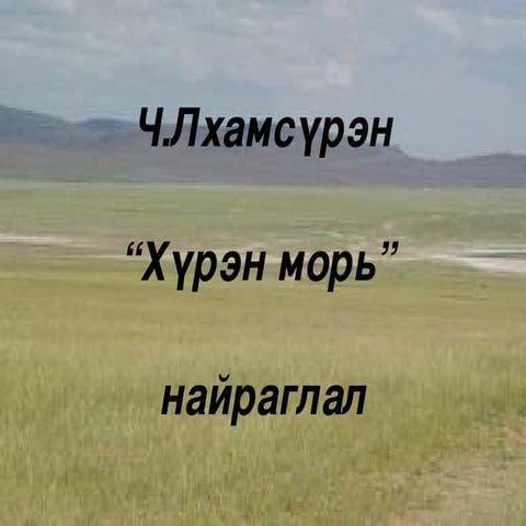 хоки