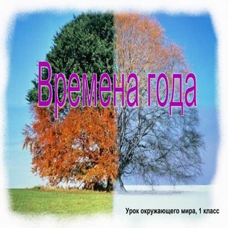времена года