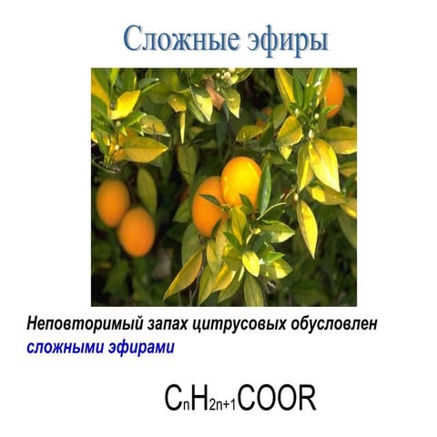 сл. эфиры и жиры