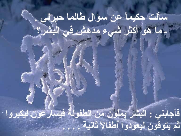 سألت حكيما عن سؤال طالما حيرني