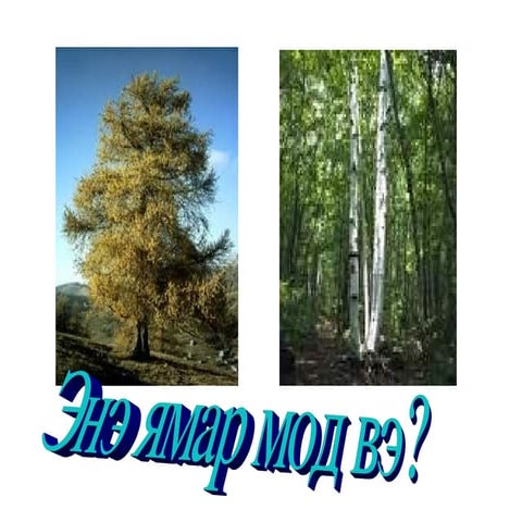 ширээ засалт