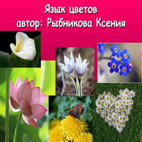 язык цветов | PPT