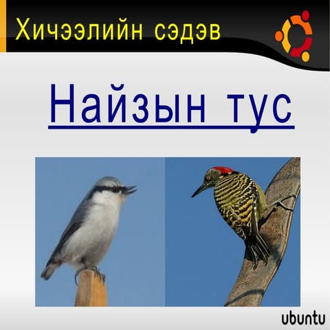 шүүмжлэгдсэн баавгай заах