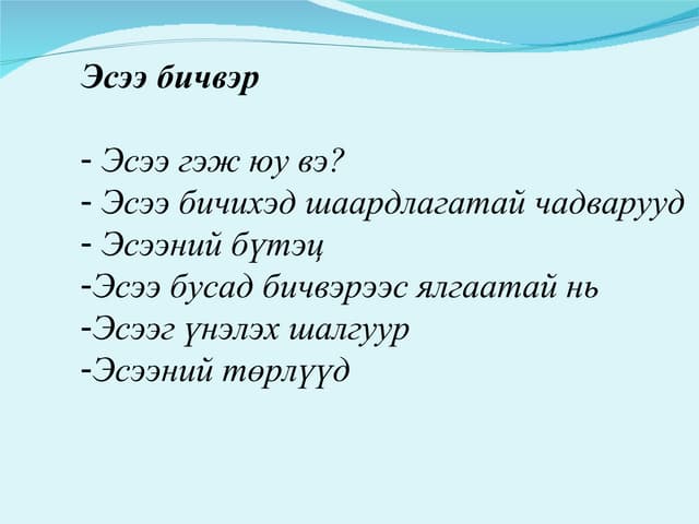 Эссэ бичих арга зүйн зөвлөмж