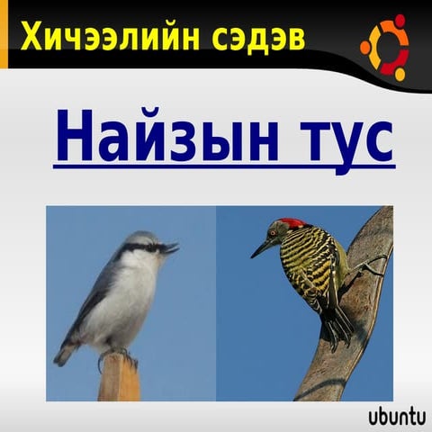 найзын тус