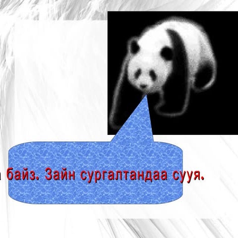 зайн сургалт