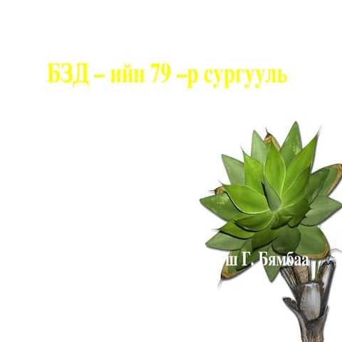 бодисын шинж чанар