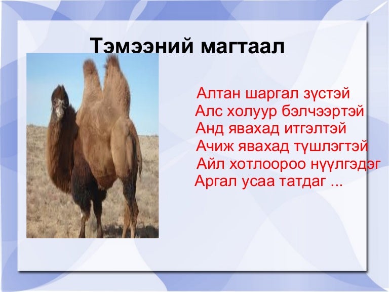 монгол хэл