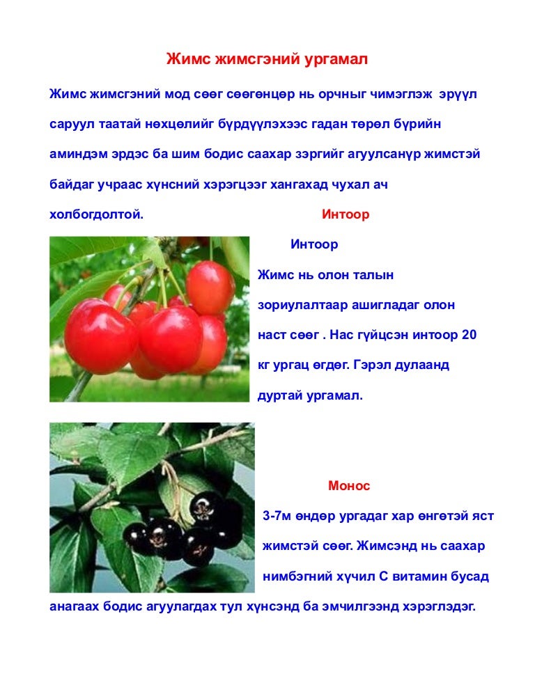 эмийн ургамал