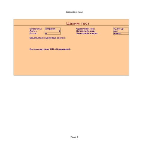 цахим тестэ