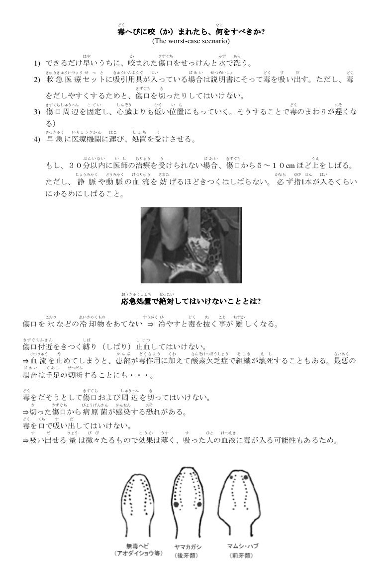 へびに咬まれたら