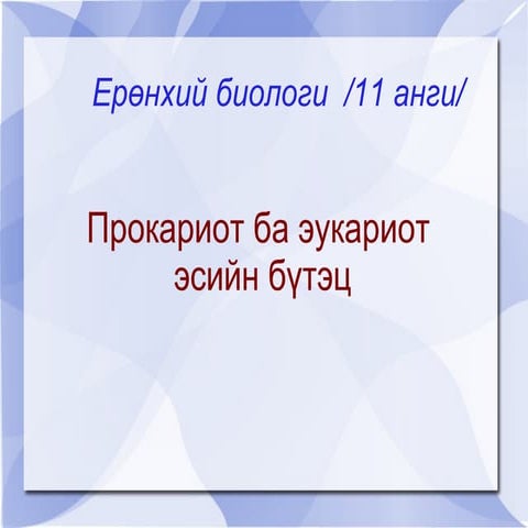 амьтны ангилал