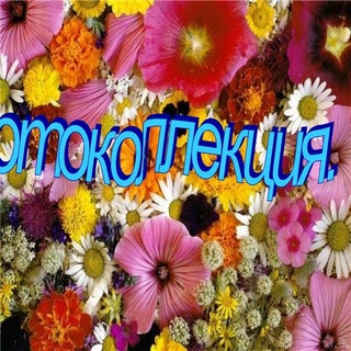 фотоколлекция