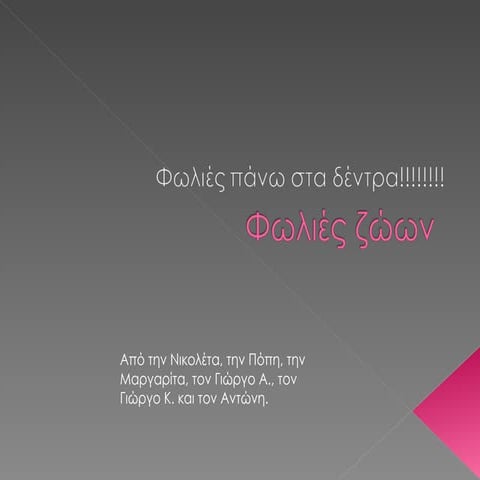 Φωλιές Ζώων