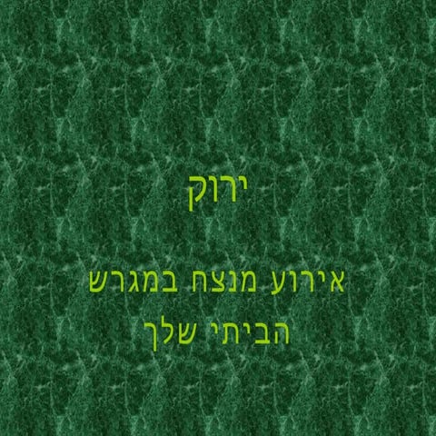 עמית.ג