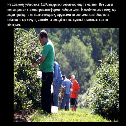 збери сам ферма