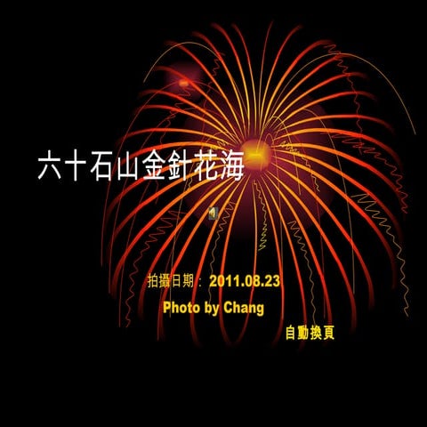 花蓮富里"六十石山"金針花海