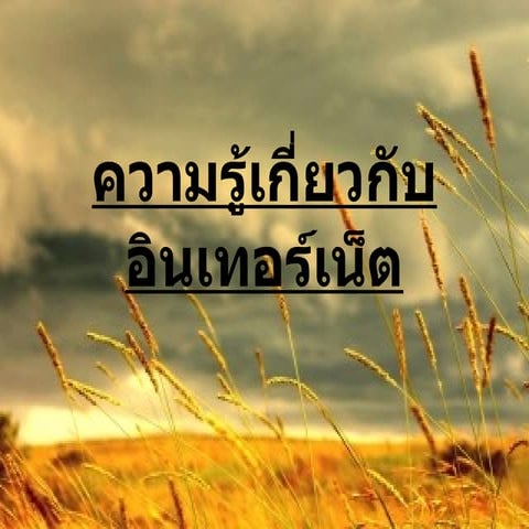 ความรู้เกี่ยวกับอินเทอร์เน็ตดา