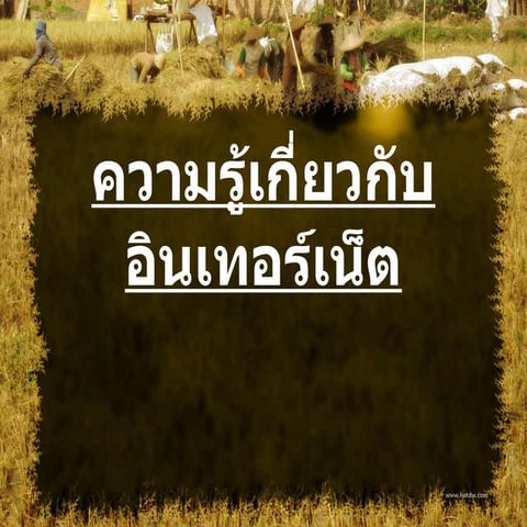 ความรู้เกี่ยวกับอินเทอร์เน็ตแมว