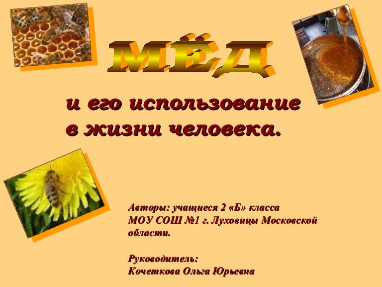 Проект про мед - Basanova.ru