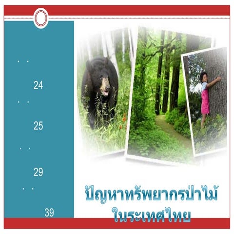 ปัญหาทรัพยากรป่าไม้