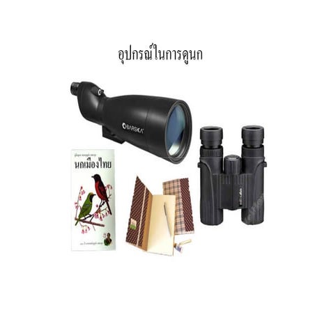 การดูนก