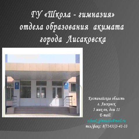 программа информатизации