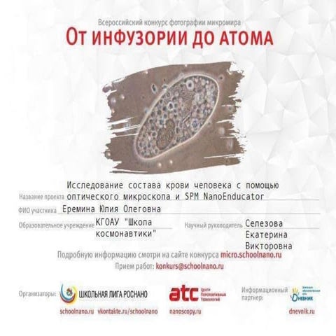 Работа Юлии Ерёминой