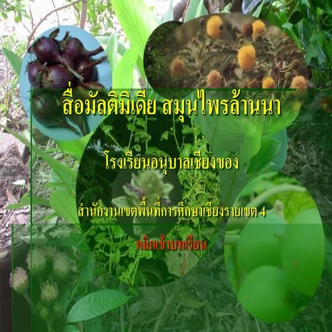 สมุนไพรไทย