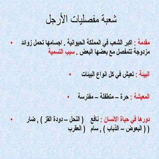 شعبة مفصليات الأرجل