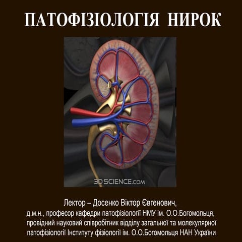 патофізіологія  нирок