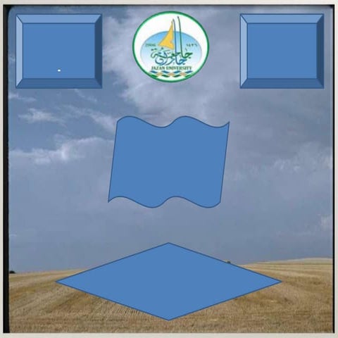 الشبكات  ماجد الصم