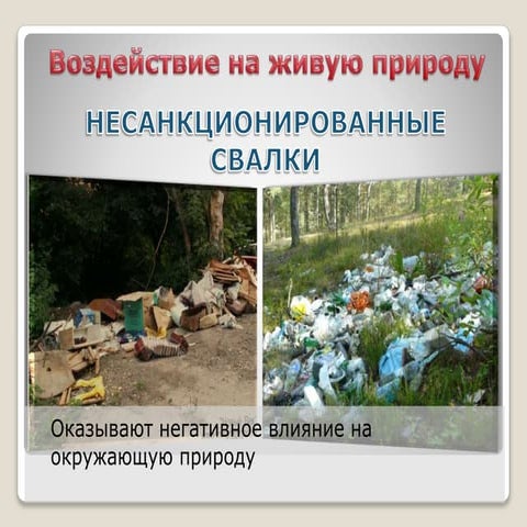 Этапы антропогенного воздействия