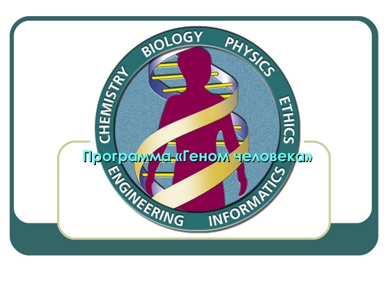 Международная программа геном человека презентация