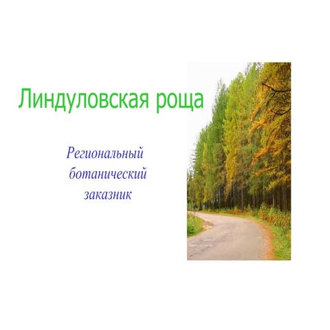 линдуловская роща | PPT