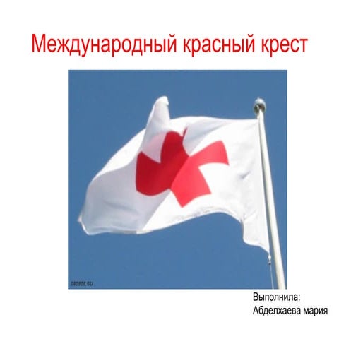 Международный красный крест вакансии