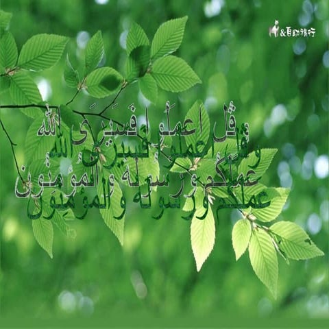 الفكر الإسلامي الحديث والمعاصر