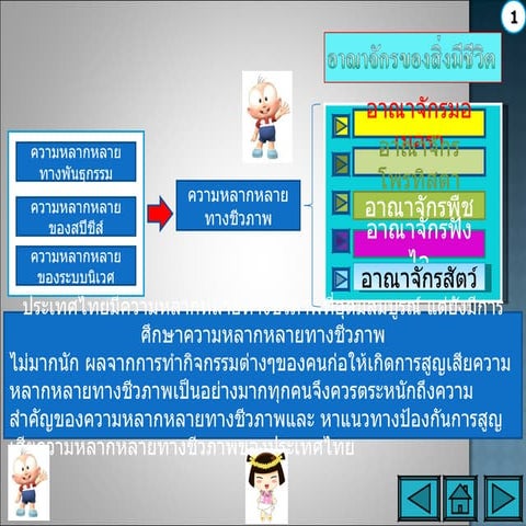อาณาจักรของสิ่งมีชีวิต